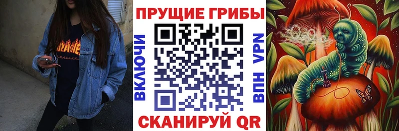 ОМГ ОМГ рабочий сайт  Сосновый Бор  Псилоцибиновые грибы MAGIC MUSHROOMS 