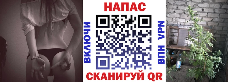 Бошки Шишки White Widow Сосновый Бор