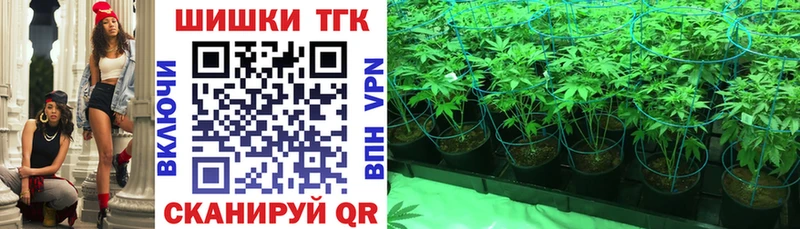 наркотики  Сосновый Бор  Бошки марихуана конопля 